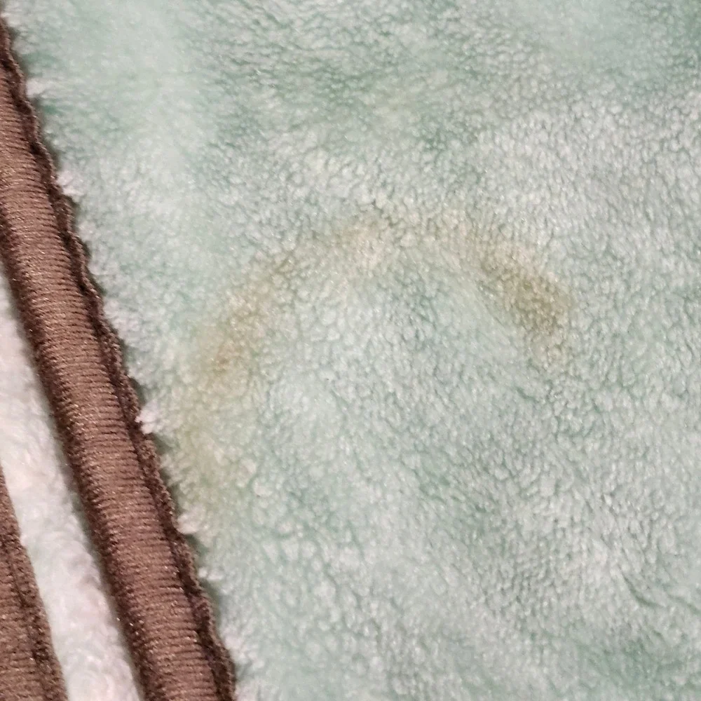 Precious Moments Vintage Blanket Girl‎ and Deer Green Thick Mink Plush 83x59
